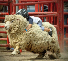 Image via www.montgomeryrodeo.com