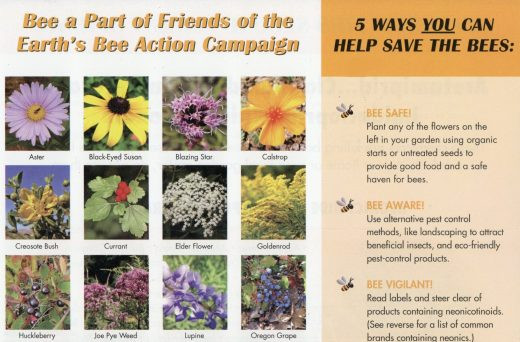 Friends of the Earth direct mail