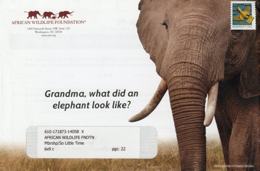 African Wildlife Federation mail