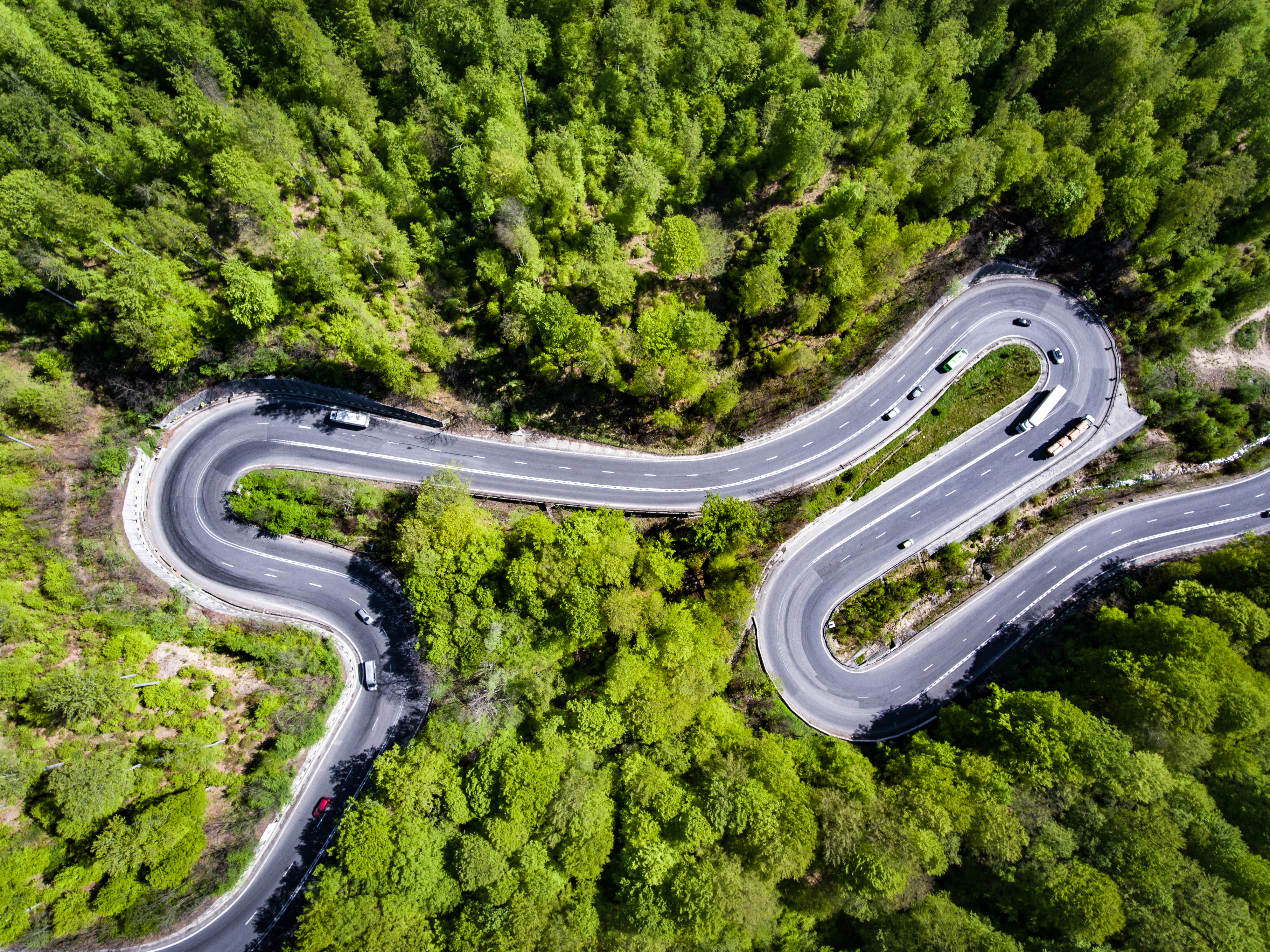 Cars on the winding road through the forest, Transfagarasan, Romania.