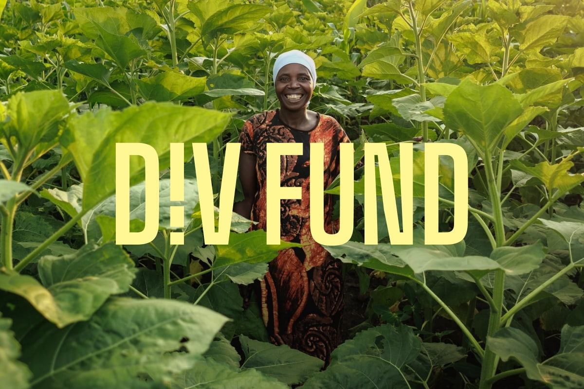 Based on USAID Model, DIV Fund Launches to Support Global Development